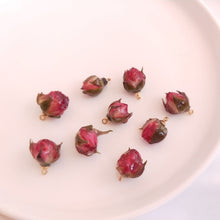 Load image into Gallery viewer, 5PCS Real Dried Flower Charms, Colorful Flower Pendant, Earring Making Pendant, 16-20mm Jewelry Finding Supply FZ001