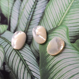 White Pearl Oyster Pendatn, White Oval Shape Mother-of-Pearl, MOP Shell, Shell Charm, Shell Jewelry Making Findings RY069