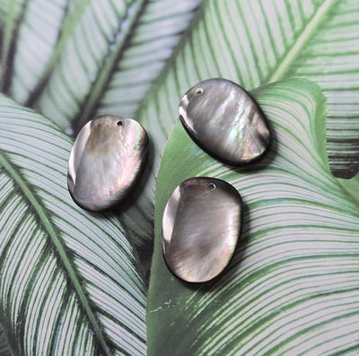 Black Pearl Oyster Pendatn, Black Oval Shape Mother-of-Pearl, MOP Shell, Shell Charm, Round Shell Jewelry Making Findings RY068