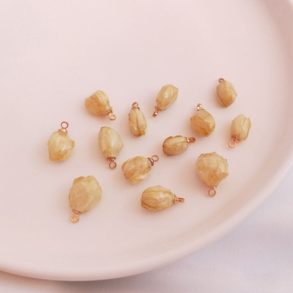 5PCS Real Dried Flower Charms, Colorful Flower Pendant, Earring Making Pendant, 16-20mm Jewelry Finding Supply FZ001