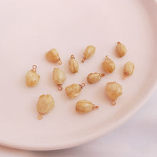 Load image into Gallery viewer, 5PCS Real Dried Flower Charms, Colorful Flower Pendant, Earring Making Pendant, 16-20mm Jewelry Finding Supply FZ001