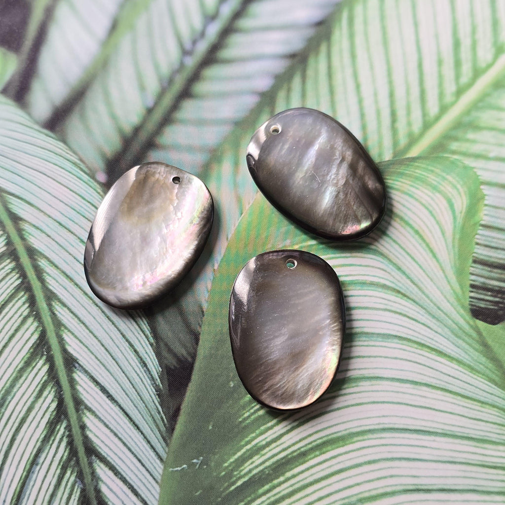 Black Pearl Oyster Pendatn, Black Oval Shape Mother-of-Pearl, MOP Shell, Shell Charm, Round Shell Jewelry Making Findings RY068