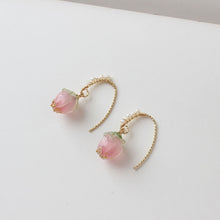 Cargar imagen en el visor de la galería, 5 mini colgantes de fruta de fresa, de resina, para hacer joyas, cuentas DIY GZ289