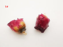 Load image into Gallery viewer, 5PCS Real Dried Flower Charms, Colorful Flower Pendant, Earring Making Pendant, 16-20mm Jewelry Finding Supply FZ001