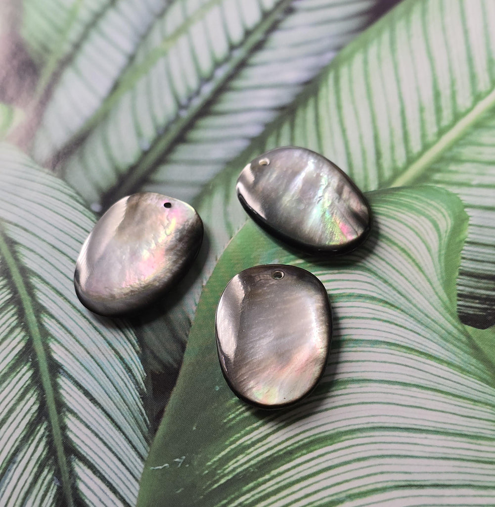 Black Pearl Oyster Pendatn, Black Oval Shape Mother-of-Pearl, MOP Shell, Shell Charm, Round Shell Jewelry Making Findings RY068