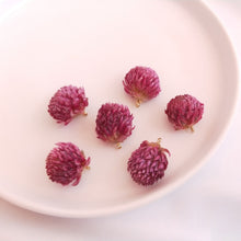 Load image into Gallery viewer, 5PCS Real Dried Flower Charms, Colorful Flower Pendant, Earring Making Pendant, 16-20mm Jewelry Finding Supply FZ001