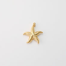 Load image into Gallery viewer, Hammered Starfish Charm, Fish Charm, 18K Gold Plated Charms, Marine Life Pendant, For Necklace And Earrings Making, Jewelry Findings S1452